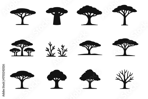 Tree patch grove icon acacia thick isolated icons sparse savannah flat vector