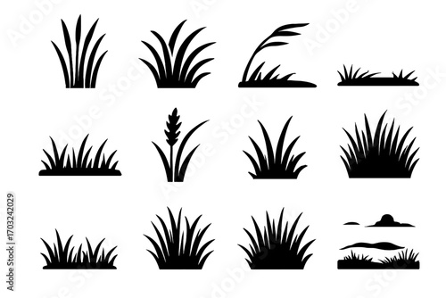 Tall line grass vector icon under prairie landscape cluster patch open