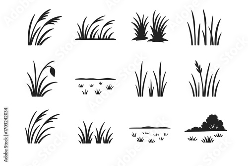 Cluster grass open vector meadow stalk sparse stalks pod icon line prairie