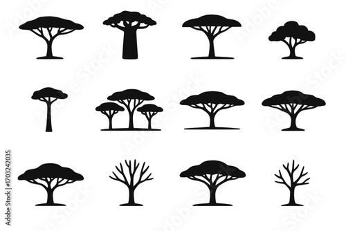 Tall grove icons shrub tree icon acacia wide crown savannah vector silhouette