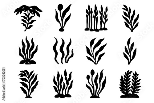Swaying vector wide forest underwater icon isolated canopy rocky kelp overlapping icons
