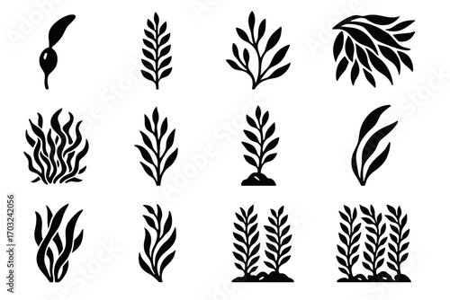 Icons forest kelp vector tangled leaves seaweed branching overlapping detail dense cluster