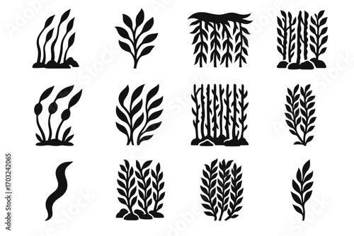 Single icons vector forest kelp stems leafy canopy overlapping icon isolated seabed