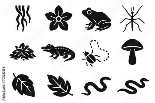 Trail rainforest caiman icon snake tropical root mound floor vector frog creeping