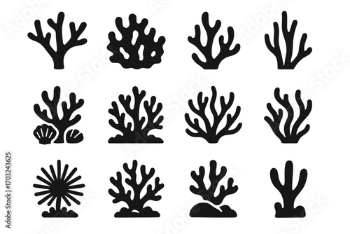 Collection shell formation rock irregular coral beside icon radial arms vector