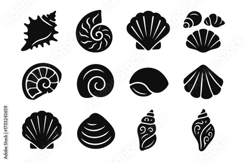 Seashell rugged tidepool glossy collection tiny icon ornamental vector clam shell set