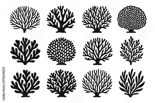Marine foliage icons coral fan vector reef patterned elegant aquatic icon