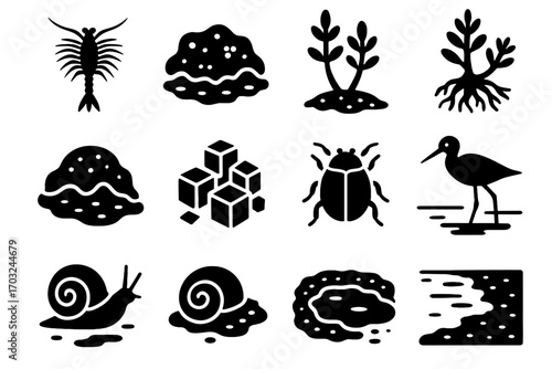 Flats icons crystal beetle vector flat mats plant icon shrimp salt saline