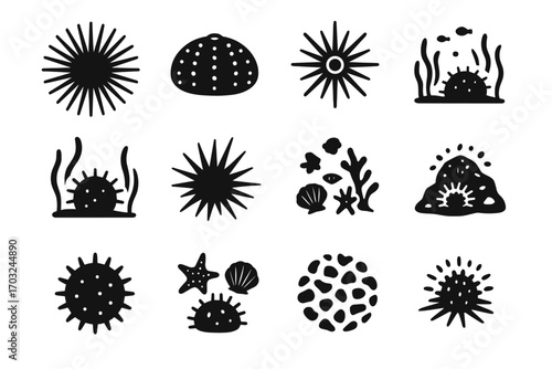 Spiky seabed skin sea grouped icon urchins marine vector texture urchin