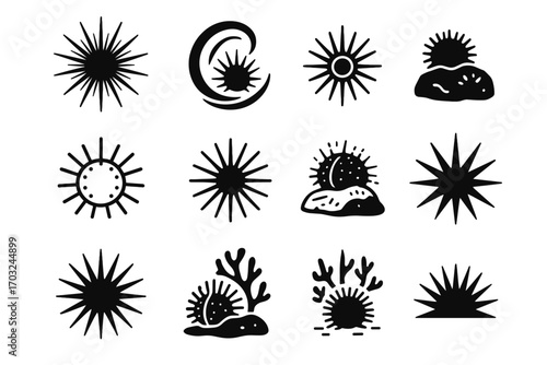 Effect mark vector urchin icon bold spine reef sea shadow