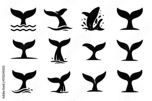 Diving curved icon shape waves water minimal fluke whale vector tails