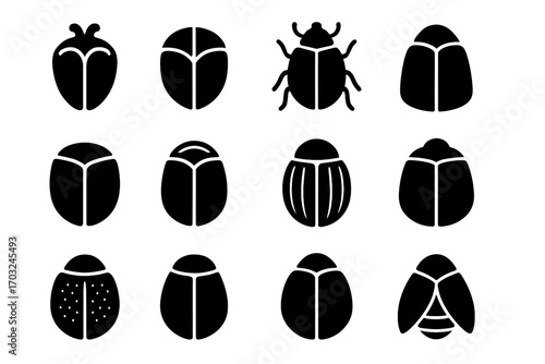 Body artistic segments stylized vector casing icon beetle heavily smooth shell central