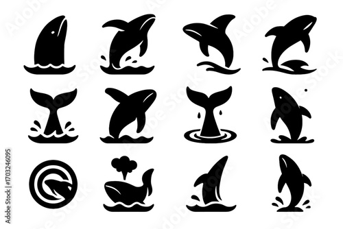 Icon collection lifting splash whale circle back vector stance surface trajectory below