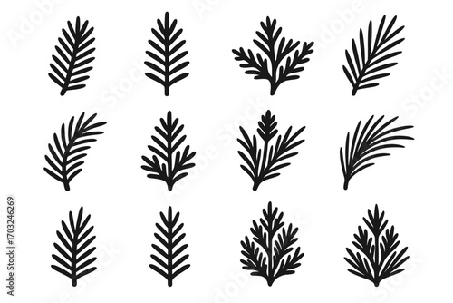 Forest needle needles pine spruce conifer branch fir icon twig vector