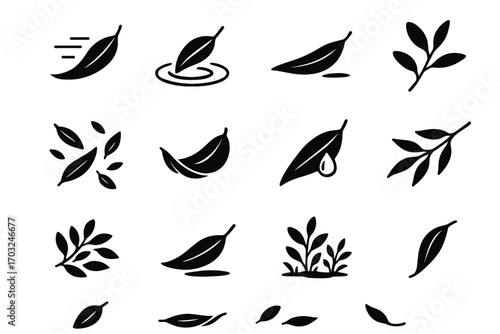Eucalyptus elements curled pressed ground vector to icon leaf natural foliage