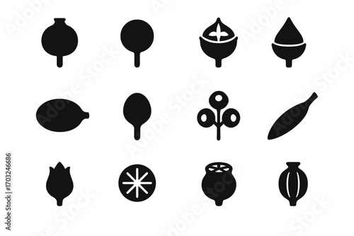 Vector short closed pod eucalyptus round collection icon bud seed ridged capsule