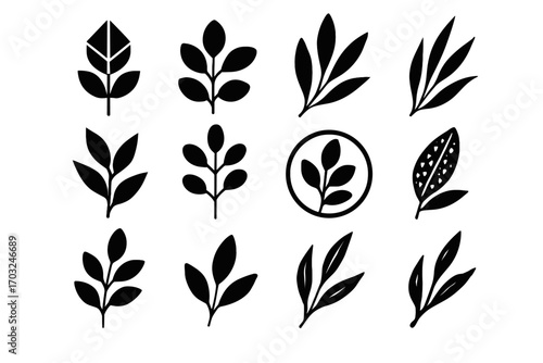 Botanical eucalyptus geometric fill vector abstraction form pair set leaf icon