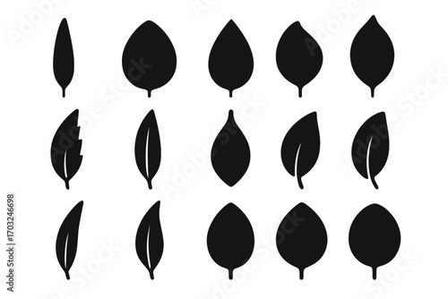 Edge icon jagged form icons vector leaf elongated eucalyptus silhouette variant