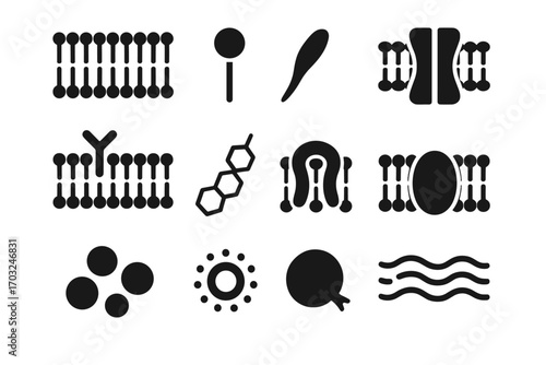 Site hydrophilic dot protein membrane cluster icons vector symbol cell hydrophobic integral