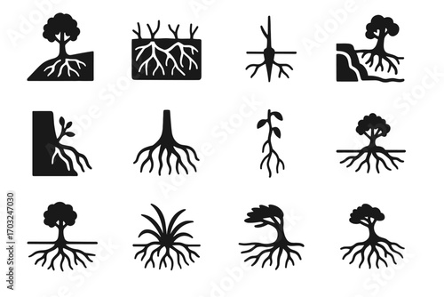Swamp shallow diverse plant tree root icon forest survival exposed roots vector