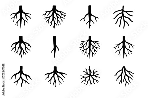Roots icon hairs spread root icons deep vector node start cap system