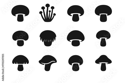 Form dome vector elm oyster icon hedgehog mushroom edible cap top tips