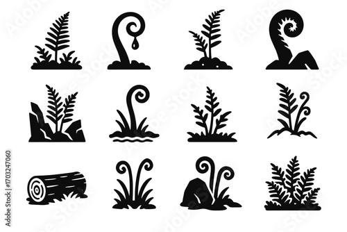 Emerging fern tip fog undergrowth collection vector area rocky soil icon