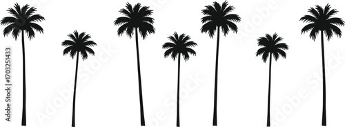 Tall palm tree silhouette set, tropical coconut tree vector illustration, exotic beach summer decoration, black palm icon collection design elements