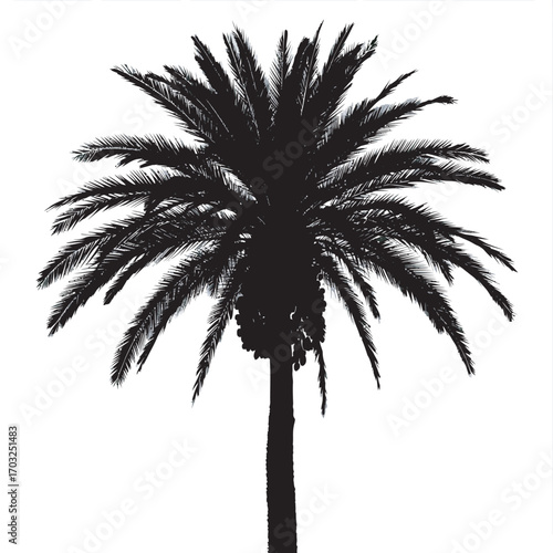 Black vector silhouettes of tropical palm trees against a summer sunset background on a beach