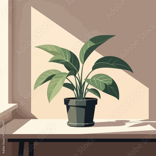 A potted plant in a sunny windowsill, with soft shadows.