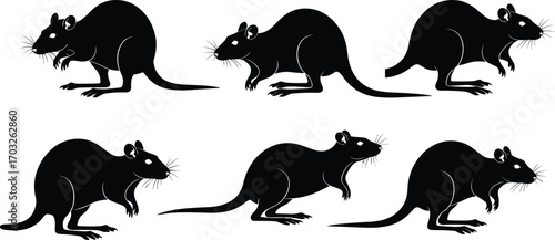 Silhouette rats in various positions, black rodent vector, pest animal icon, mouse illustration, wild rat design for graphic use.