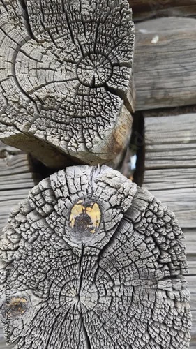 Fragment of an old tree with a knot ,invoice of wood.