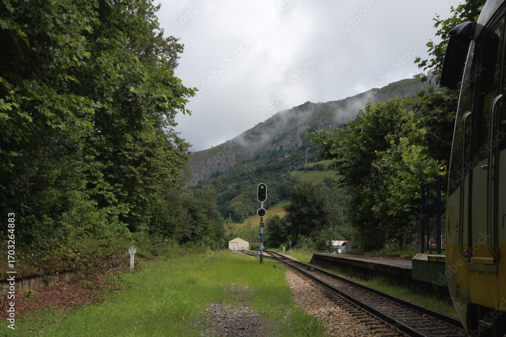 Fototapeta premium Paisaje ferroviario en día nublado