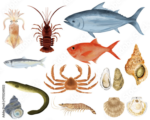 水彩で描いた魚介類セット