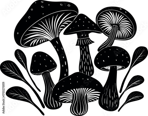 silhouette mushrooms with on white background
