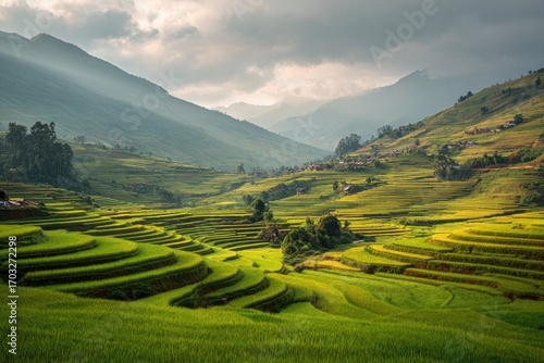 Lush terraced rice paddies, nestled in a valley, with misty mountains in the background