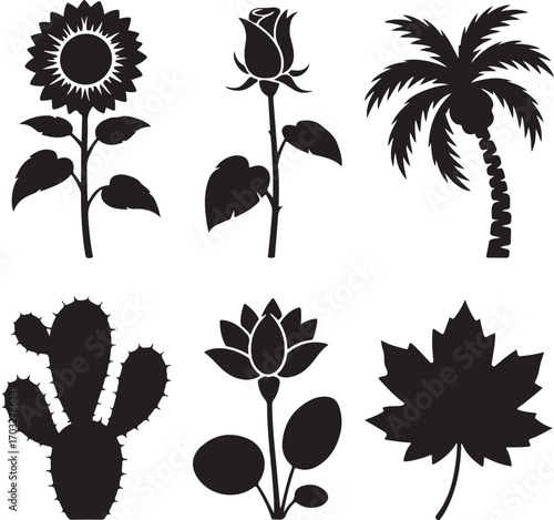 Six black silhouettes of plants including sunflower, rose, palm, cactus, lotus, and maple leaf