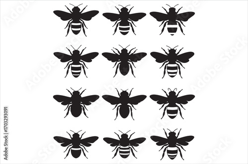 Bee set  Vector Art illustration. Bee Silhouette. Colorful bee icon. Black and white Bees. Cartoon bee icon set. flying on a dotted route isolated on the white