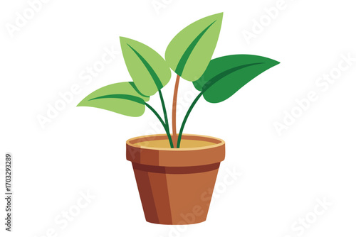 Green leaves sprout from a small potted plant within a simple container on display