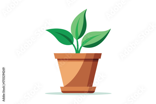 Simple potted plant features lush green leaves against a bright white background
