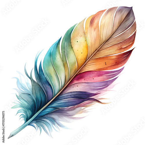 watercolor fether realistic set vector isolated
