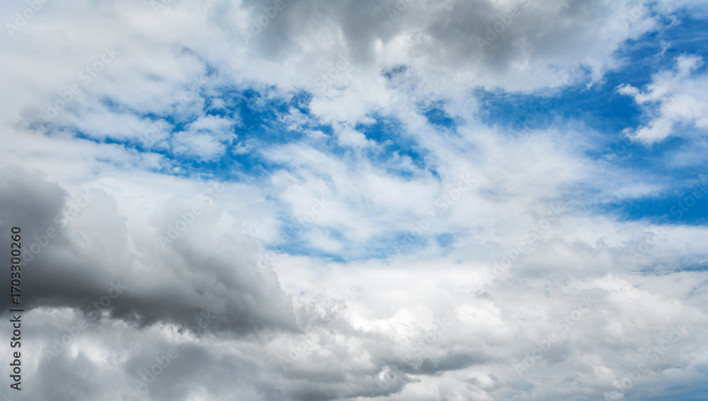 custom made wallpaper toronto digitalWhite clouds scattered around a vivid blue sky forming a circular opening that creates a dynamic and atmospheric scene