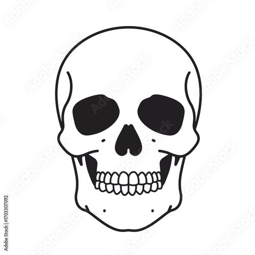 Simple Skull Illustration - Black Outline Against White Backdrop
