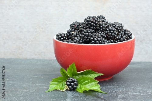 Sweet ripe blackberries, lat. Rubus fruticosus Thornless in a red bowl. Detail of a bowl full of ripe raspberries on the stone table.
