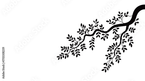 A Beautiful Silhouette of a Tree Branch with Many Leaves Against a White Background
