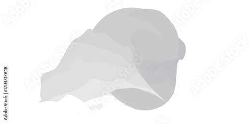 Abstract light gray brush stroke with soft flowing layers and a smooth organic shape.