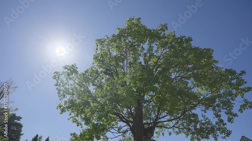 Wedding banquet hall, wedding restaurant layout, wedding layout