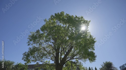 Wedding banquet hall, wedding restaurant layout, wedding layout