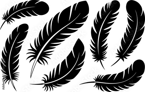 "Black Feather Silhouettes Collection" vector bundle