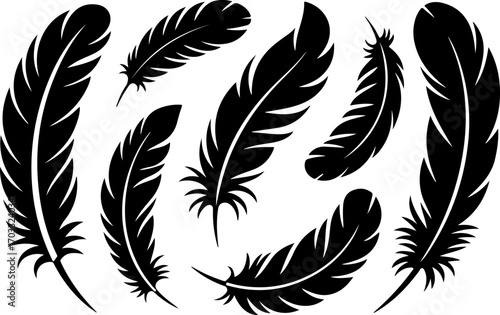 "Black Feather Silhouettes Collection" vector bundle